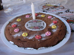 186 10h mofarennen winikon