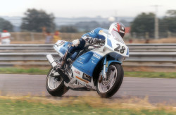 maurizio bauemli