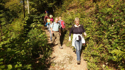 184 wanderung