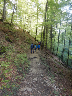 193 wanderung