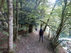 202 wanderung